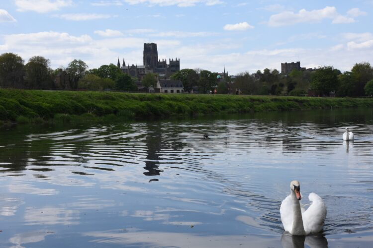 City Regatta thwarted by Coronavirus