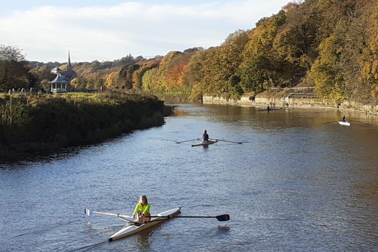 Learn to Row courses 2020