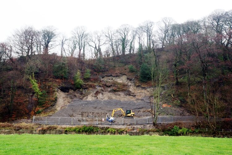 Pelaw Wood landslip restoration project update February 2016